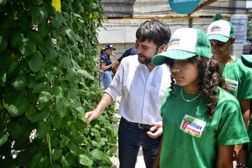 Huertos Escolares Una Estrategia De Responsabilidad Ambiental Que