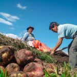 Igac autoriza a direcciones territoriales para ajustar porcentajes de alza del avalúo catastral