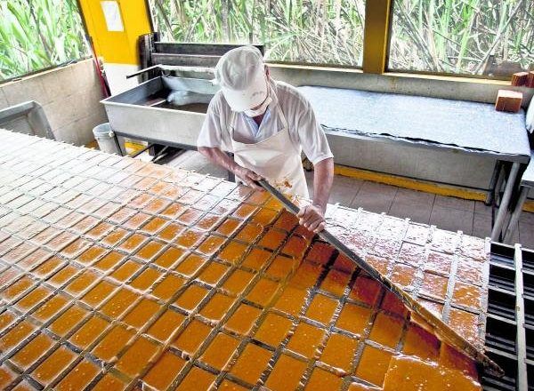 Informalidad laboral se ubica en el 55,2% a nivel nacional