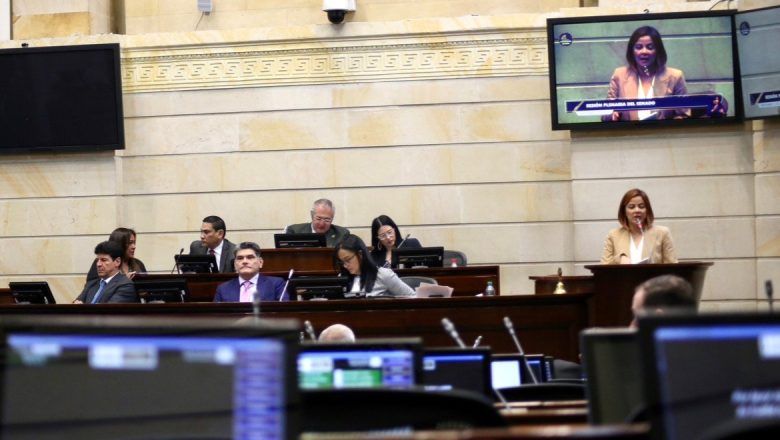 Plenaria acelera para proyectos de ley antes de cerrar período