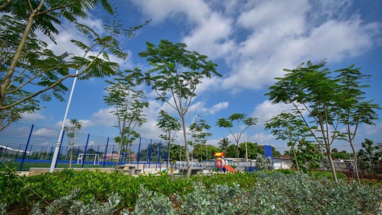 La Alcaldía de Santa Marta lidera jornada de siembra y convierte a conductores en guardianes del bosque seco tropical