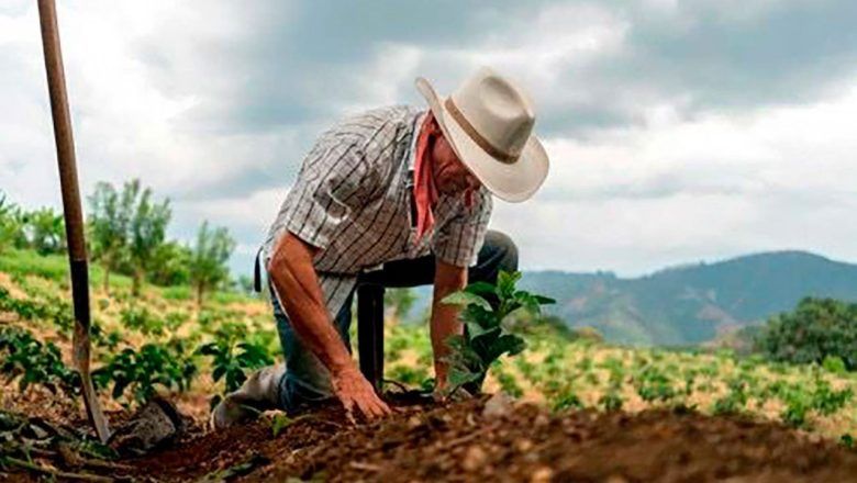 Reforma Agraria del presidente Petro: entregar 600.000 hectáreas de tierra al campesinado en el 2025