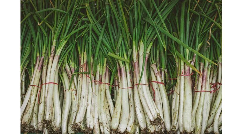 Gobierno y productores de cebolla, fortalecen producción nacional