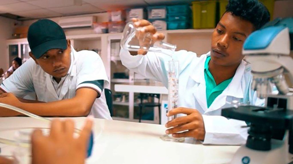 icetex cupos credito ed