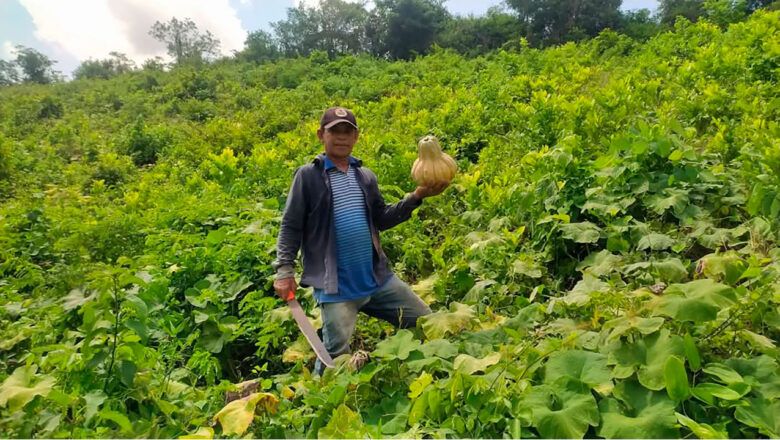 ONU dio parte de confianza a Colombia por cumplimiento del Acuerdo de Paz en materia de acceso y uso de la tierra