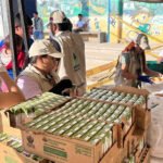 Gobierno garantiza atención en salud y nutrición a familias desplazadas en el Catatumbo