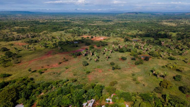 MinAmbiente suspende licencias ambientales en el Catatumbo y agiliza acciones para mitigar crisis