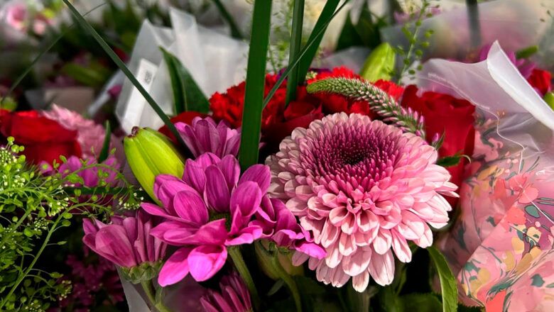 Por Día de la Madre, Colombia exportó por mar y agua 61.000 toneladas de flores