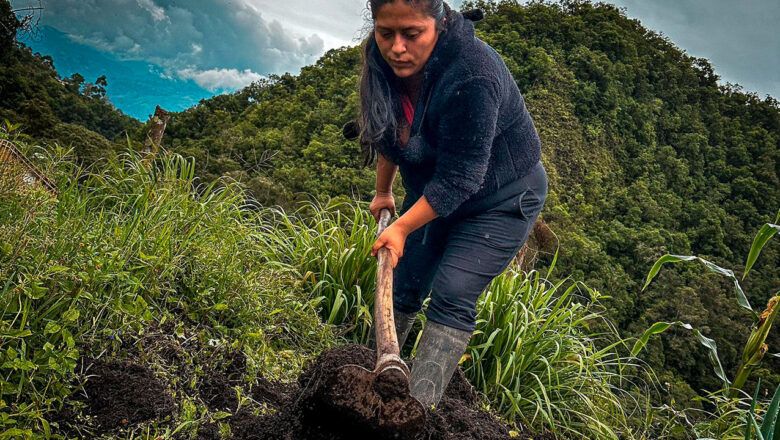 Gobierno llama a organizaciones campesinas a que se postulen al programa Sembrando Vida