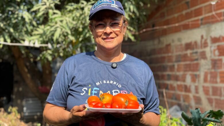 Familias de Juan Mina producen sus propios alimentos con el proyecto Mi Barrio Siembra