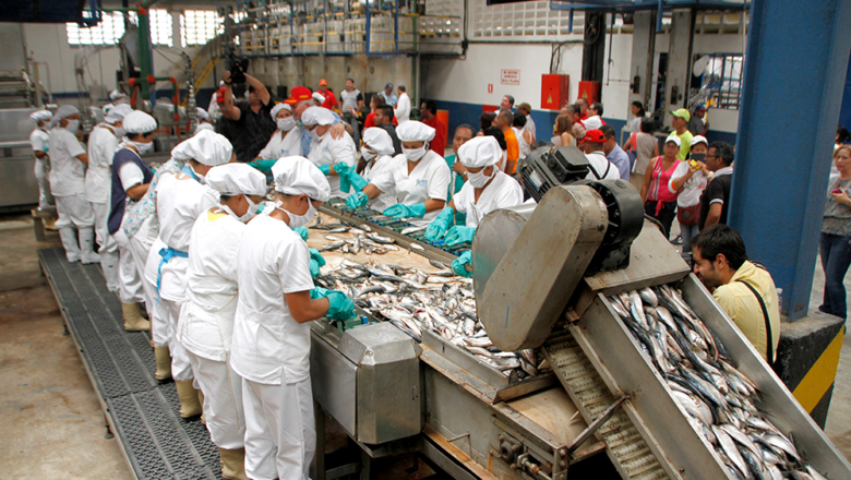 Sector pesquero creció más de 18% y consolida su papel en la estrategia exportadora del Gobierno