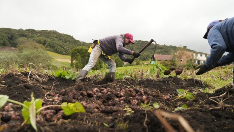 2,5 millones de hectáreas han sido destinadas a comunidades para saldar deudas con comunidades campesinas