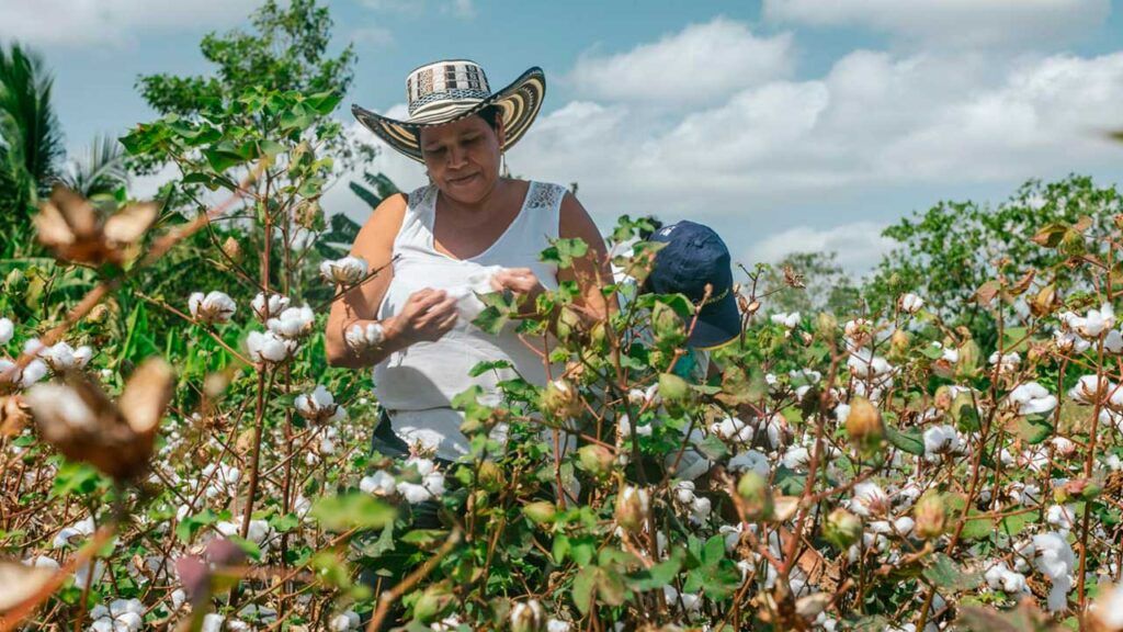 Gobierno lanza dos convocatorias para fortalecer producción de las mujeres rurales Campo mujeres ed
