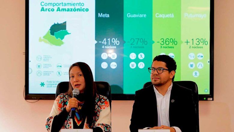 Deforestación cayó 33 % en la Amazonía durante el primer trimestre de 2025