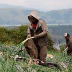 Fertilizantes en alza tras conflicto en Irán