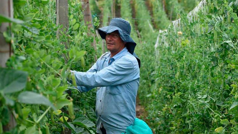 $180.000 millones para facilitar acceso al crédito a pequeños y medianos productores