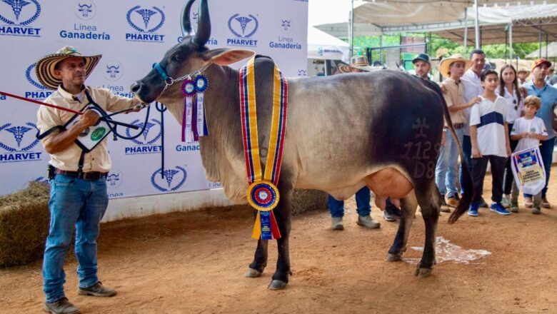 Atlántico, invitado a la Feria Nacional de la Ganadería 2025
