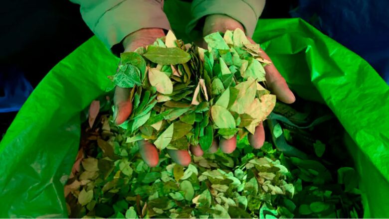 ‘La certificación no debe ser instrumento de dominación y poder’: presidente Petro