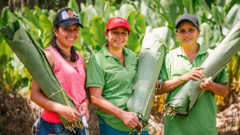 Sancionan ley que reconoce rol de mujeres rurales, campesinas y pescadoras para transformar el campo