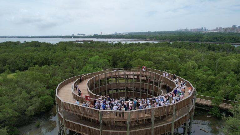 barranqyuilla ocde ed