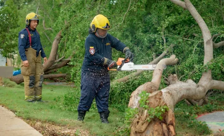 Cuerpo de Bomberos de Cartagena atendió 233 emergencias durante junio: casos por abejas africanas y árboles caídos, los más frecuentes