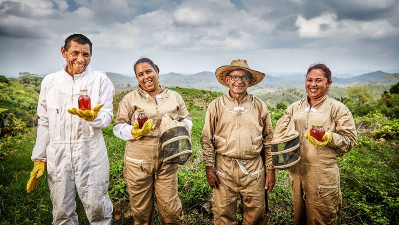 Finagro ha concedido créditos asociativos por $6 billones para impulsar cadenas del arroz, cacao, café, aguacate y maíz