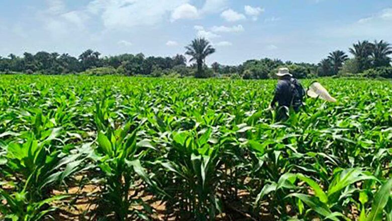 Minagricultura y Prosperidad Social instadas para llevar alimentos a regiones más afectadas por el hambre