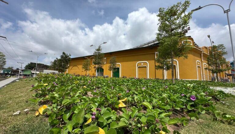 Mercado de Granos reverdece con intervención del Distrito