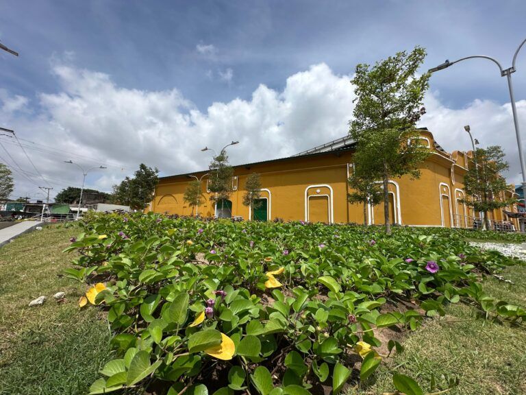 Mercado de Granos reverdece con intervención del Distrito mercado barranquilla ed