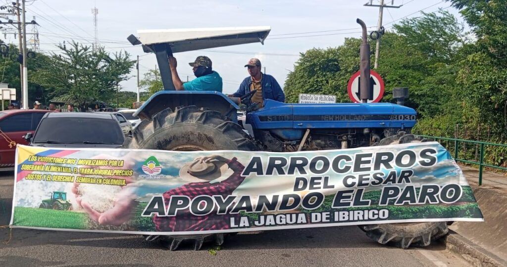 paro arroceros ed e1752603953615