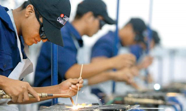 produccion empresas jovenes ed