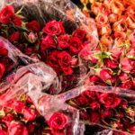 Gobierno electo prioriza apoyo a la floricultura por nuevos aranceles de Estados Unidos