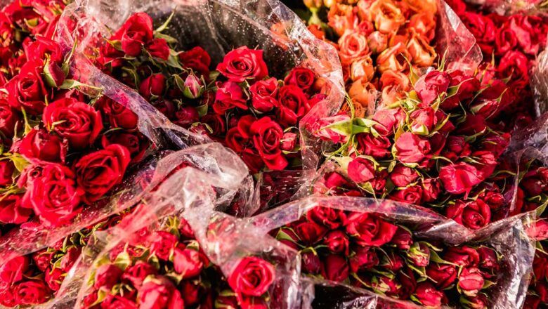 En Amor y Amistad, de nuevo flores colombianas son protagonistas