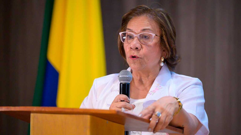 canciller villavicencio ed