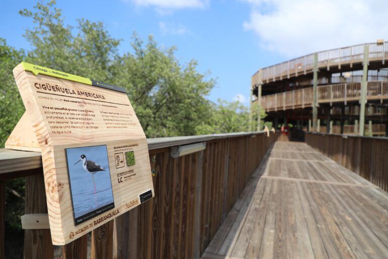 Ecoparque Ciénaga de Mallorquín presenta su primera galería educativa de aves ecoparque mallorquin ed