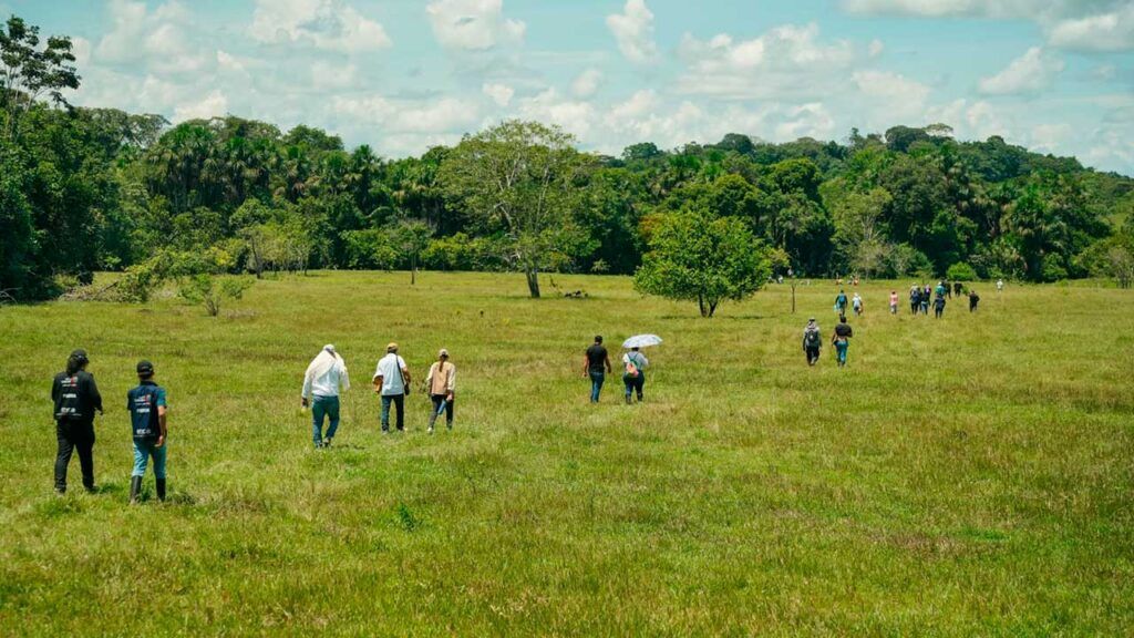 $5.000 millones para iniciativas sociales, comunitarias, productivas y ambientales impulsadas por firmantes de paz iniciativas sociales comunitarias productivas ed
