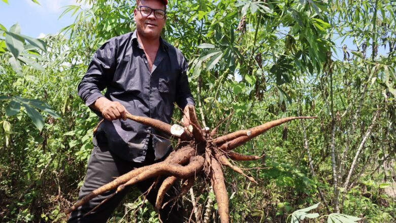 Mercados campesinos vuelven al Atlántico, oportunidad para aprovechar los frutos de la tierra