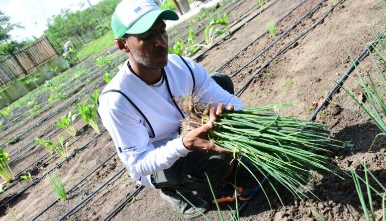 Barranquilla celebra el Día Mundial de la Agricultura