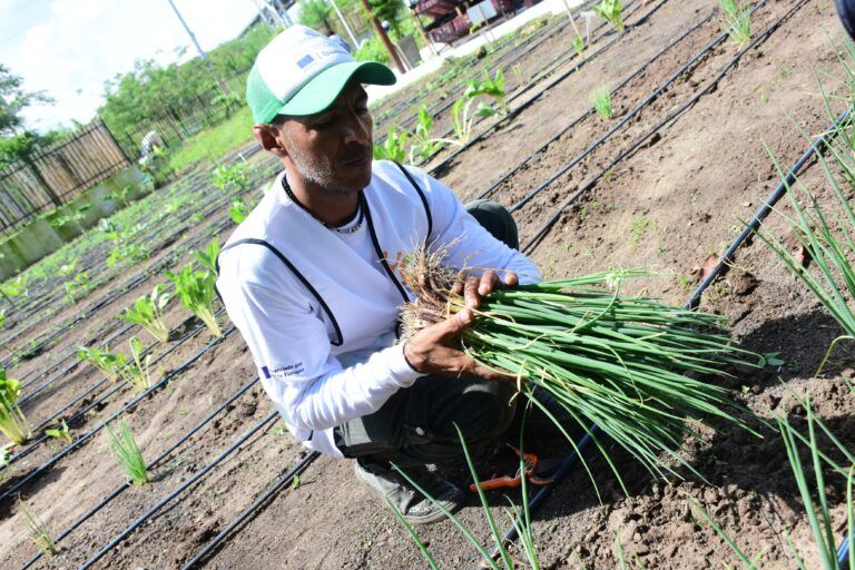 Barranquilla celebra el Día Mundial de la Agricultura AGRICULTURA ED