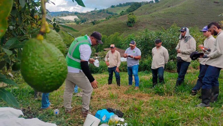 Con calidad sanitaria, Colombia pasó de 4 mercados internacionales en 2022 a conquistar 48 en 2025
