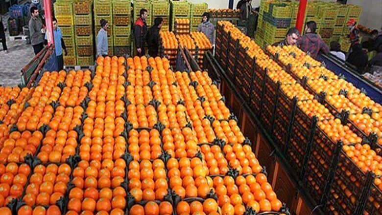 Exportaciones de frutas de Colombia llegan a US$1.248 millones hasta julio