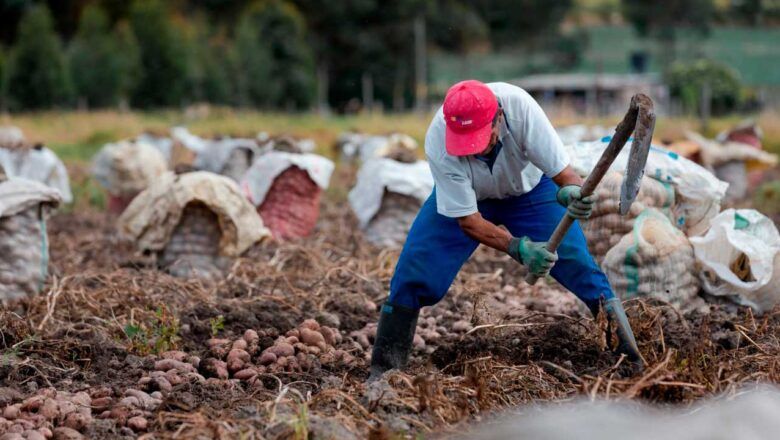 Sector agropecuario se prepara para riesgos asociados a la probabilidad de lluvias intensas y posible llegada de La Niña