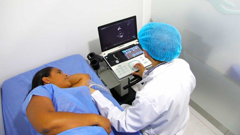 Fiebre amarilla: lo que debes saber de esta enfermedad