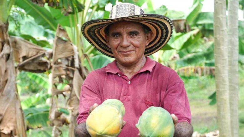 Millonarias inversiones en alianzas productivas con las comunidades