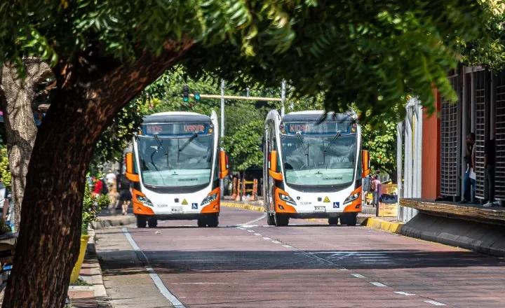 TransCaribe te lleva al primer preludio de La Fiesta que nos une, este viernes