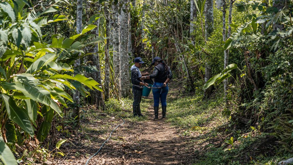 Agencia para la Reincorporación ha invertido más de $12.600 millones para robustecer proyectos productivos de firmantes de paz Agencia para la Reincorporacion ed