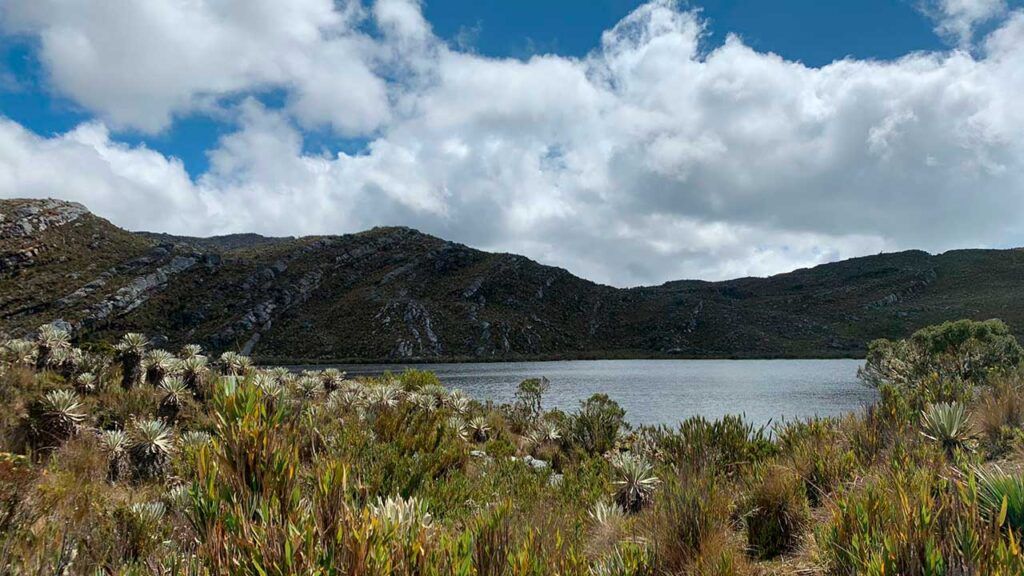 Cumbre Celac UE Colombia presentara la Plataforma Pais ed