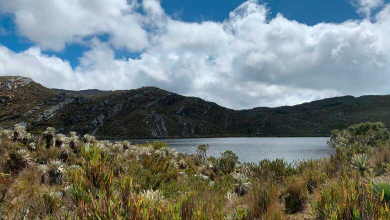 En la IV Cumbre Celac–UE, Colombia presentará la Plataforma País para impulsar el desarrollo sostenible en la región