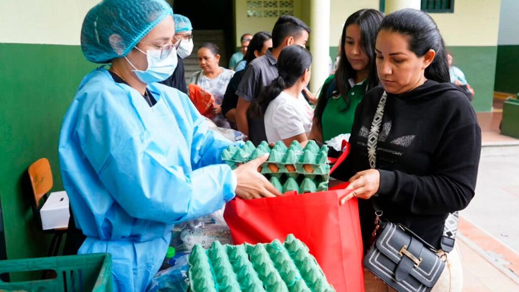 alimentos distribucion ed