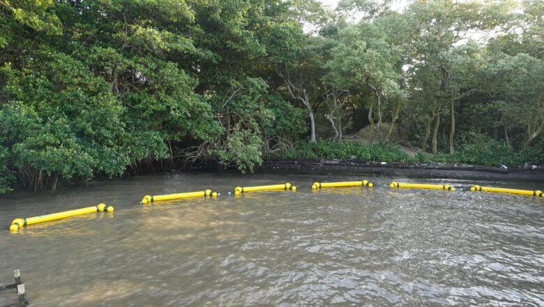 Alcaldía de Barranquilla implementa retenedores flotantes para proteger el manglar de la ciénaga de Mallorquín